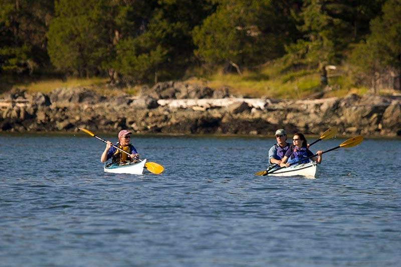 3 Hour Kayak — Deer Harbor