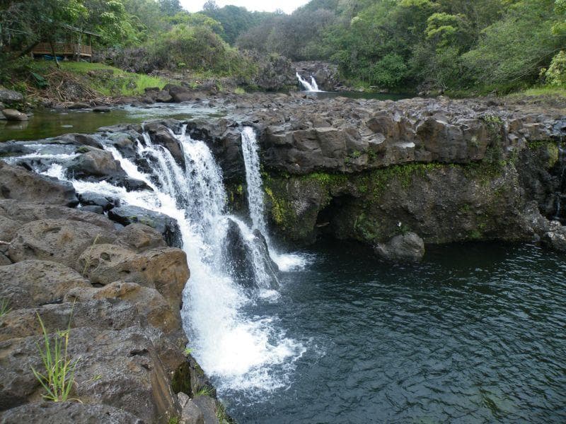 Swim & Kayak Experience