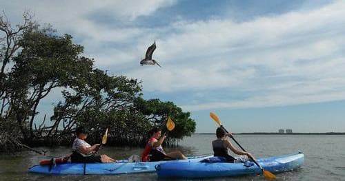 Guided Eco Tour - Big Hickory Island