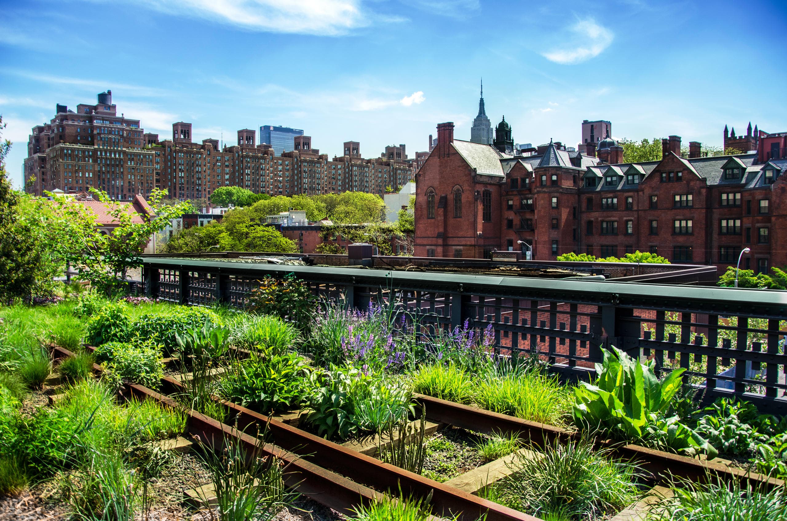 Meatpacking / Highline / Chelsea Market Tour