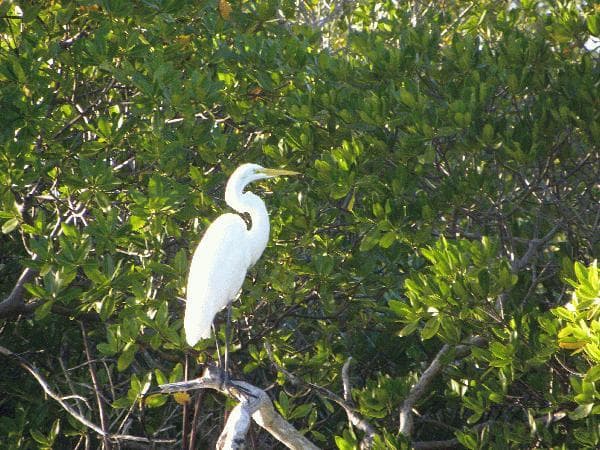Nature Excursions