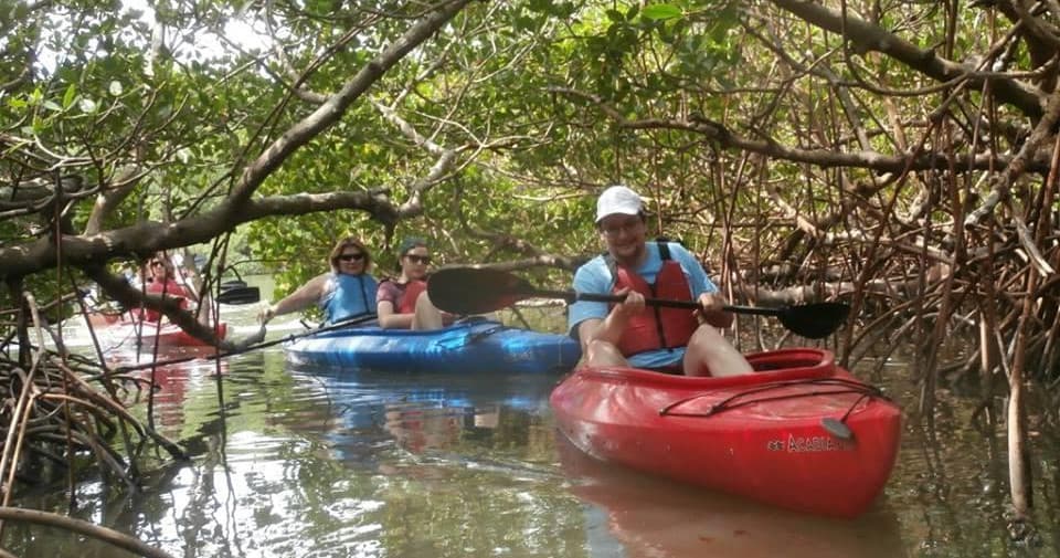 Mangrove Mazes of Matlacha Pass Kayak Tour
