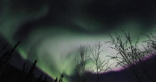 Northern Lights & Murphy Dome