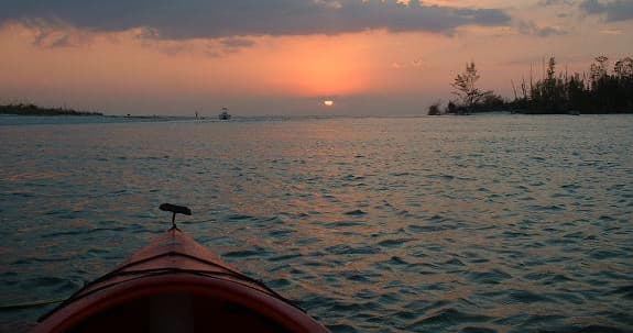 Sunset/Bird Rookery Kayak Tour on the Caloosahatchee River