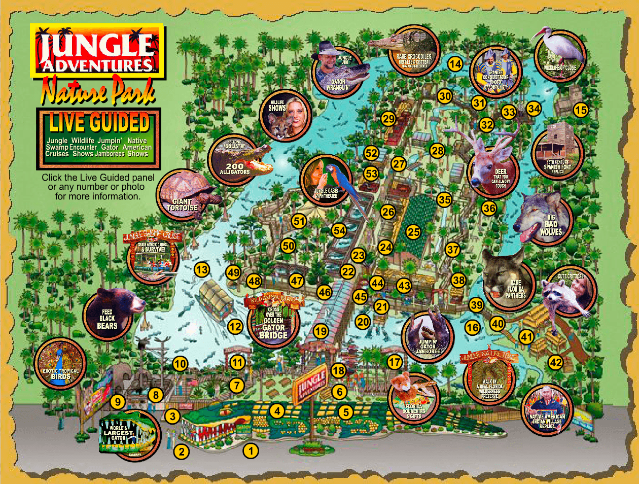 Jungle Adventures - General Admission
