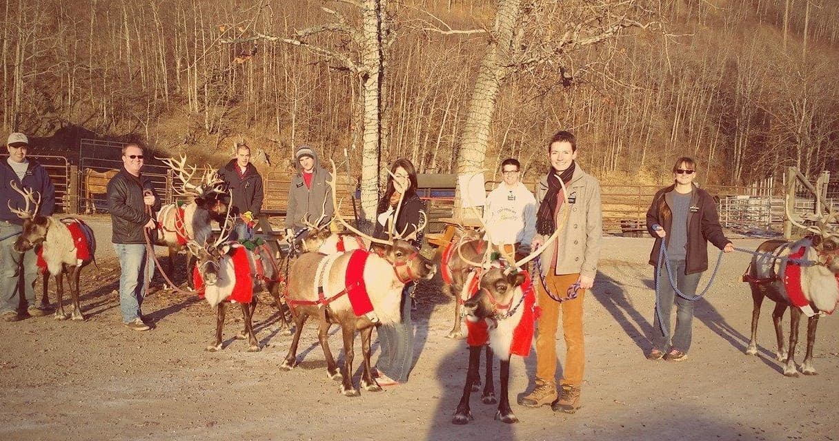 Winter Reindeer Farm Experience