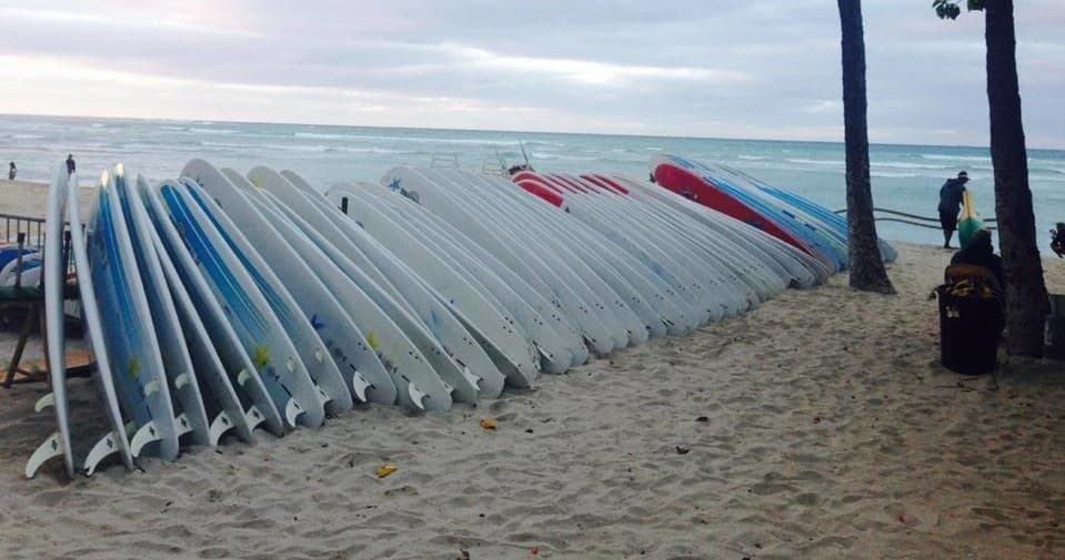Surfboard Rentals