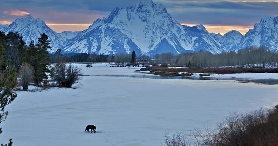 Winter & Spring Wildlife Sunset Safari