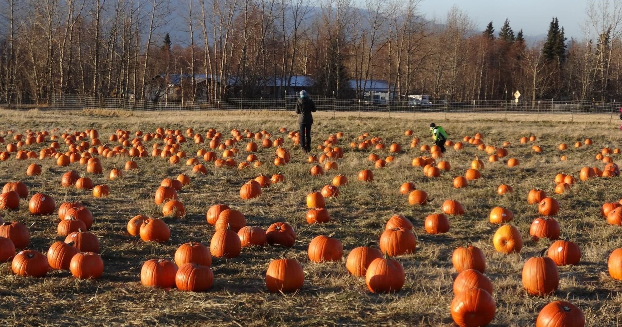 Fall Family Fun Event
