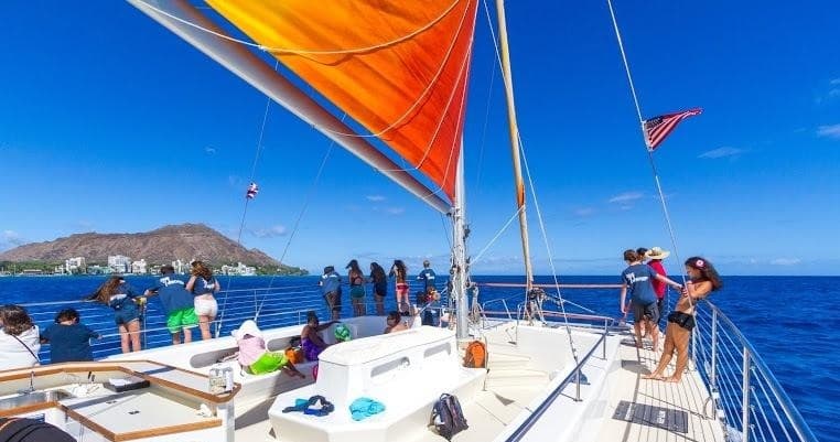 Turtle Canyon Adventure Sail
