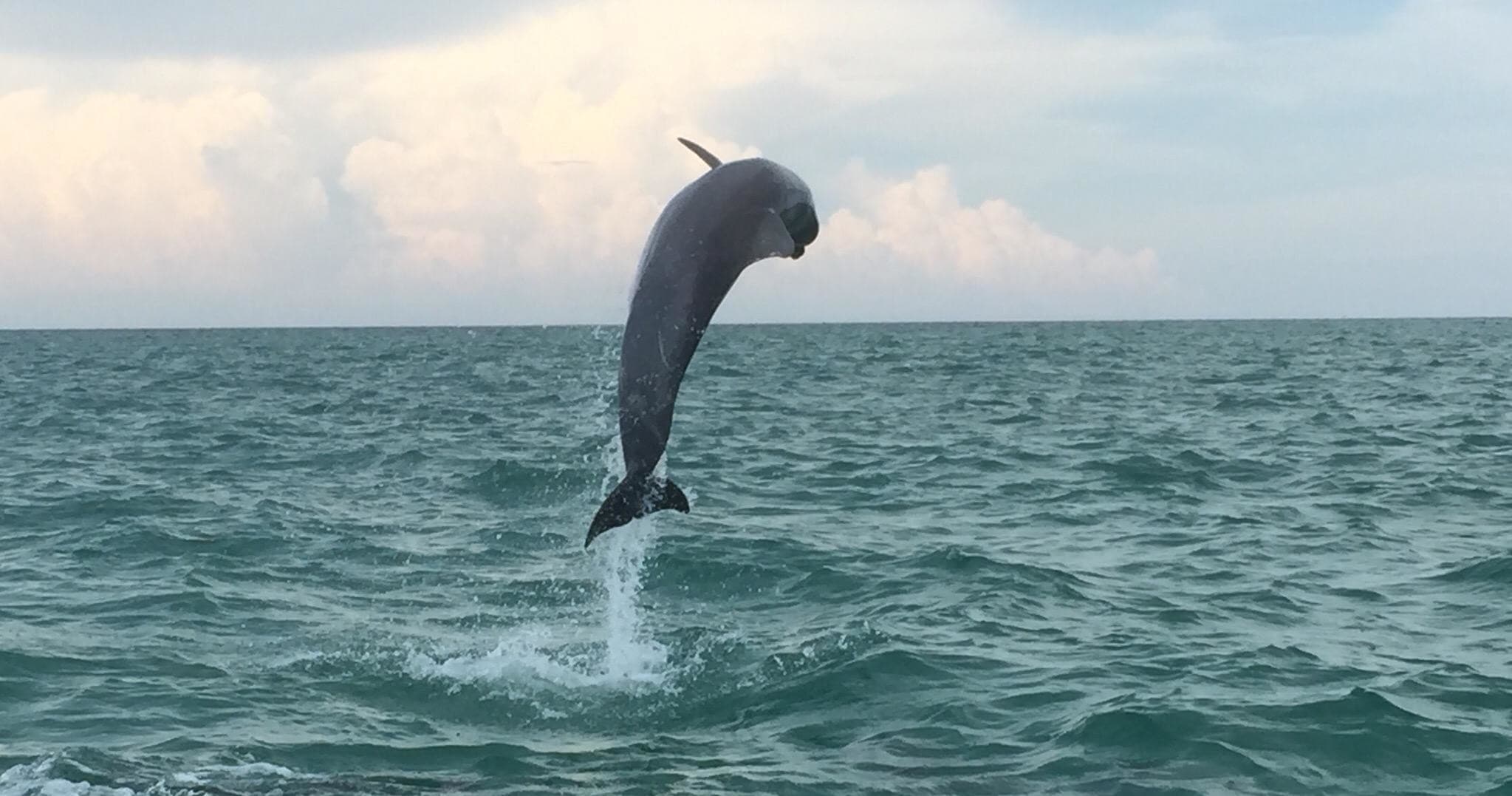 Full Day Charter