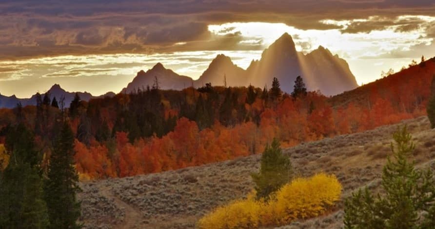 Summer & Fall Wildlife Sunset Safari