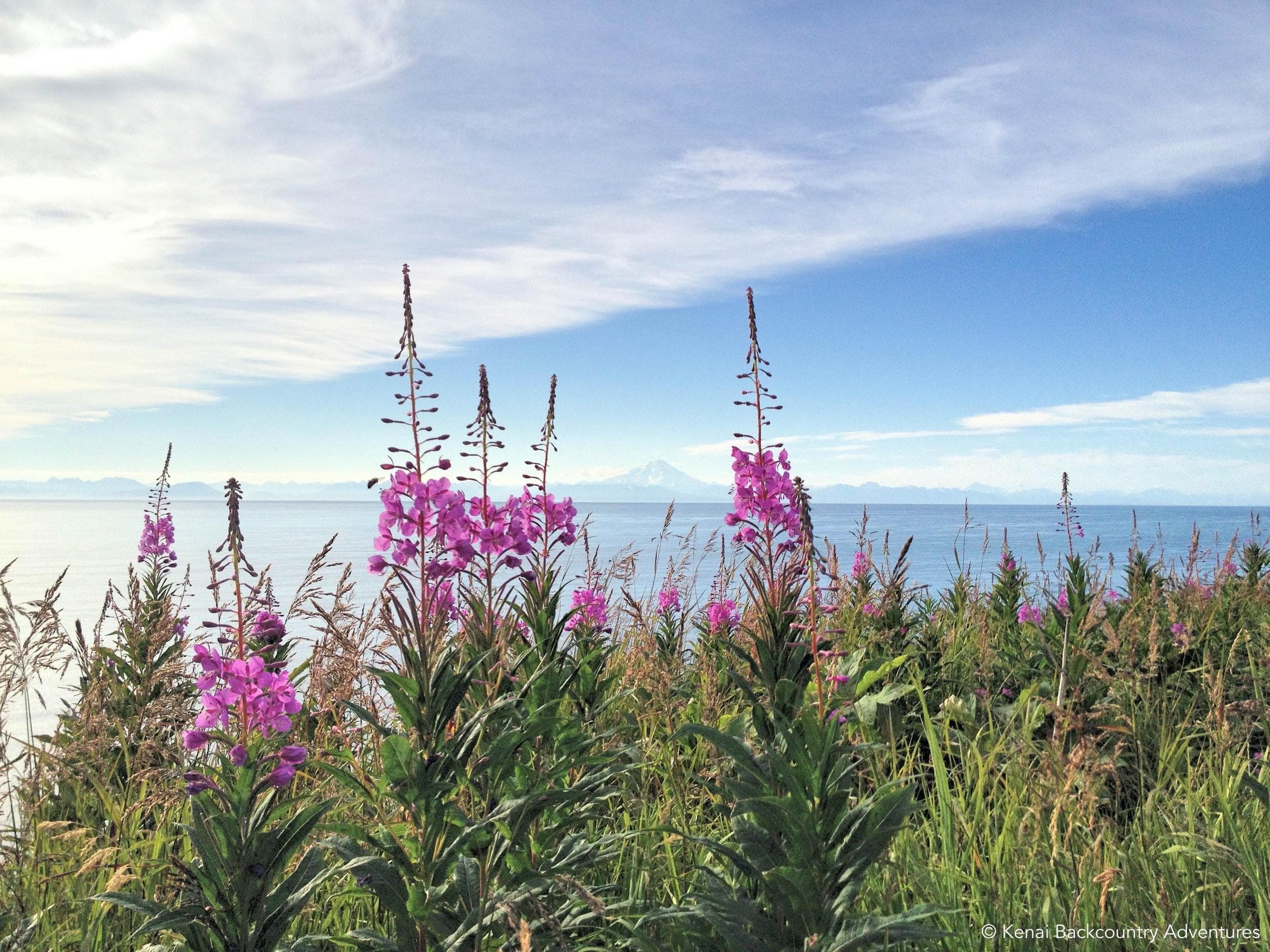 Kachemak Bay State Park Wilderness Hiking