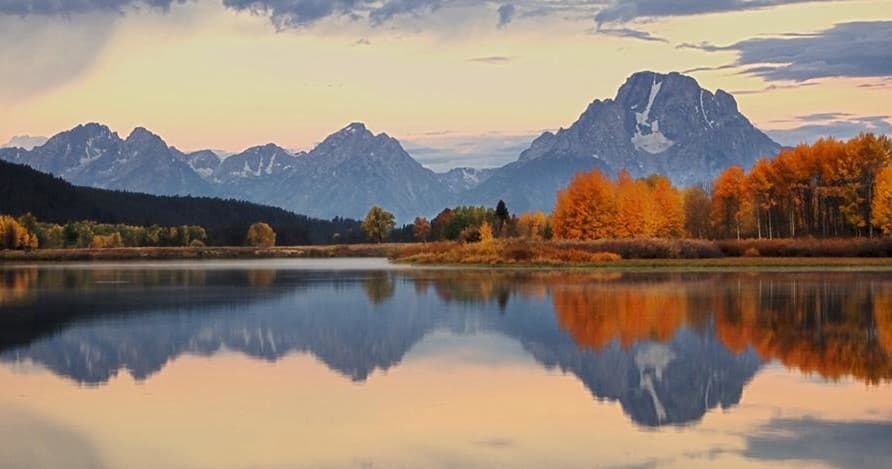 Summer & Fall Wildlife Sunrise Safari