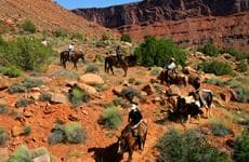 Horseback Ride