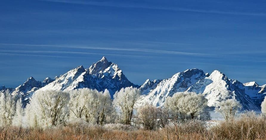 Winter & Spring Wildlife Sunrise Safari